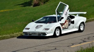Lamborghini kullandı, sermaye kazancı vergisi ödemedi.