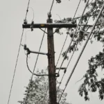 Dev elektrik direkleri Yarraville’de tepki çekti.