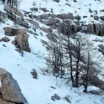 Avustralya kayak merkezlerinde 72 yılın en kötü sezon sonu.