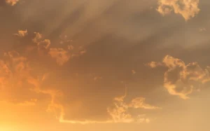 El Niño güçleniyor, doğu Avustralya’da yangın riski artıyor.