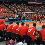 Filenin Efeleri için tamam mı devam mı.