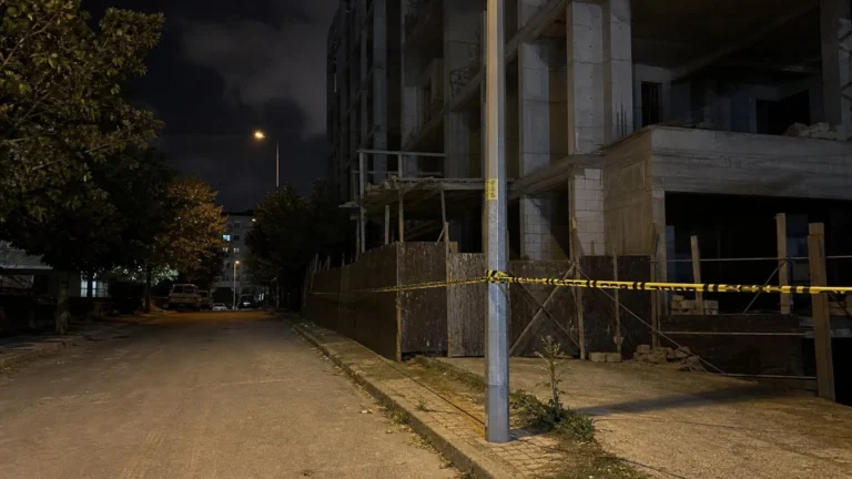 Küçükçekmece’de Elektrik Akımına Kapılan Köpek Öldü.