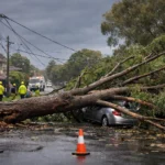 Sydney’de sıcaklık 33 dereceyi gördü, fırtına hayatı felç etti.