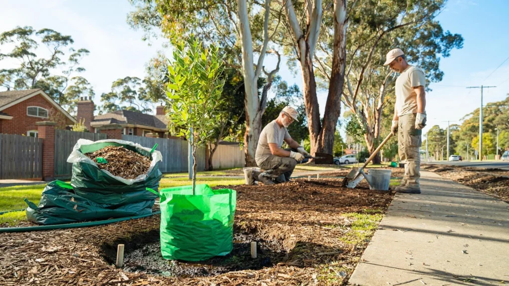 Temsili görüntü: Melbourne banliyösünde ağaç dikimi çalışması.