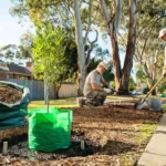 Temsili görüntü: Melbourne banliyösünde ağaç dikimi çalışması.