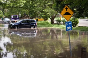 Queensland’de Sel Nedeniyle Okullar ve Yollar Kapatıldı