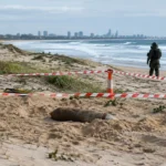 Queensland sahilinde savaş döneminden top mermisi bulundu.